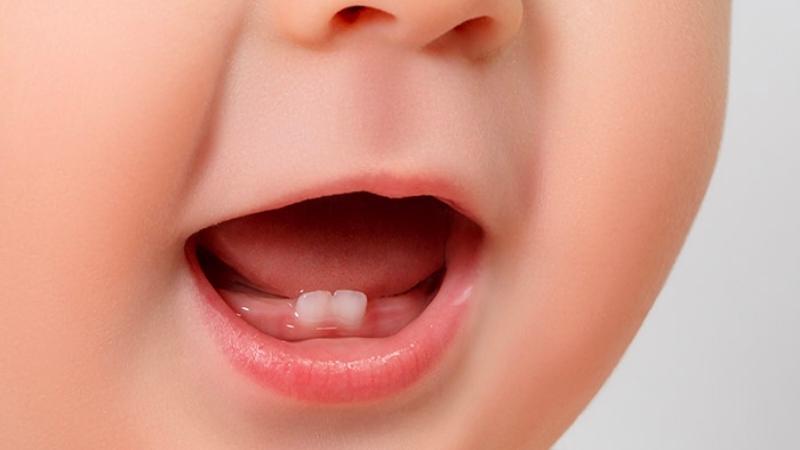 Đồ gia dụng Seka bé 6 tháng tuổi