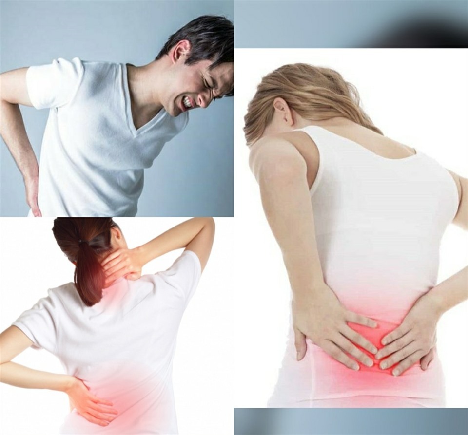 Đồ gia dụng Seka đau lưng