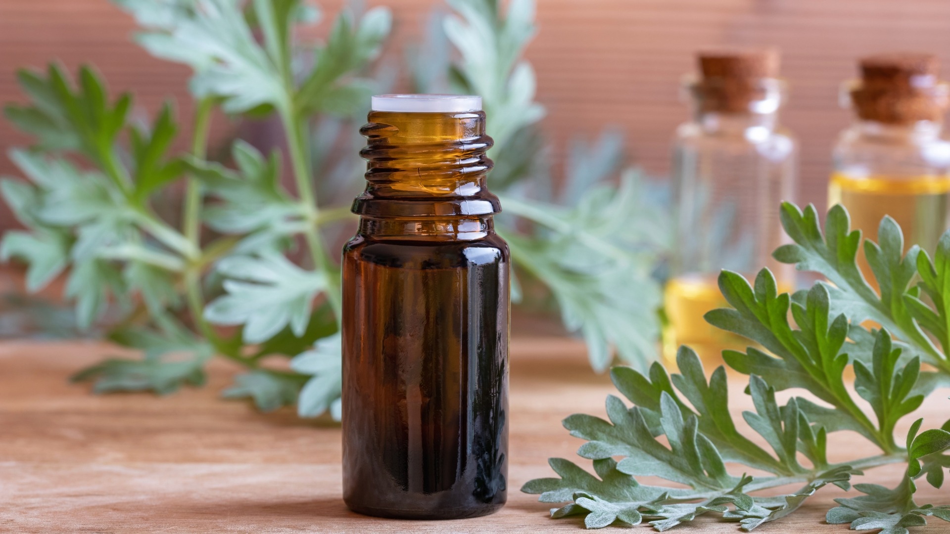 Đồ gia dụng Seka ngải cứu