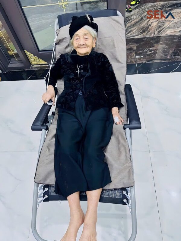 Đồ gia dụng Seka thảm ngải cứu